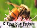 K-Town Hive Products,Chicago, IL