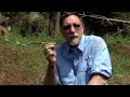 Mosquitos, Malaria & Bed Nets
