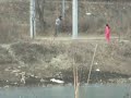 동화