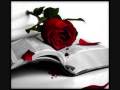 Um Segredo e Um Amor