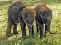 Sri Lankan Tourism Slide Show