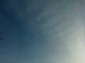 videos de moses lake ducks