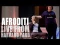 Afroditi Live from Harvard Yard - Petros
