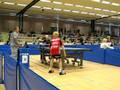 videos de Pingiskingen