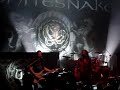 Whitesnake - love ain\