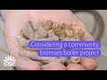 Biomass boilers: things to consider before starting a project