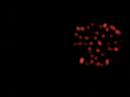 Muskingum Fireworks #1 3/29/08 Muskingum Fireworks #1 3/29/08