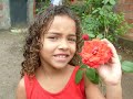 feliz anivers�rio