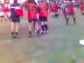 nales campeones nales campeones