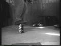 Skateboarding Trick Tips for Beginners