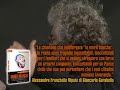 MORTI BIANCHE - il nuovo libro di beppegrillo.it