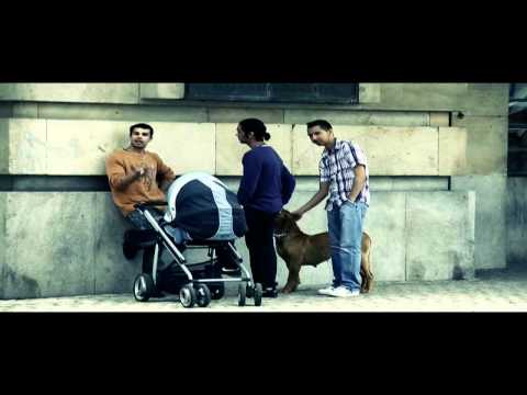 Youtube Video 0ZDgRegEfi0