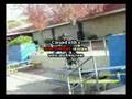 kilens mini video