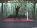 Knife Defense Demo
