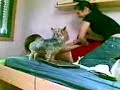 Cosquillas Cosquillas