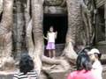 Cambodge, Ta Prohm #2