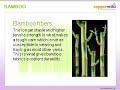 Bamboo - Making its presence felt