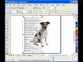 Wrapping text with an object in CorelDraw X3 Wrapping text with an object in CorelDraw X3