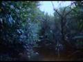 weasels rip my flesh - opening scene