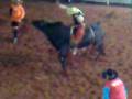 videos de Cia GILGAS de Rodeio