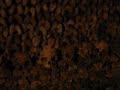 Paris Catacombs!