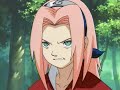 Naruto x Sakura [In the End]
