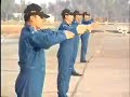 Halcones Fach