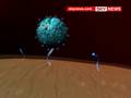 German man possbily cured of HIV