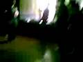 videos de Kkb PUP Family day, dragon tail