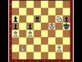 Machon Lev Chess Puzzle 16