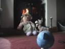 videos de 