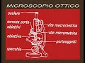 APPROCCIO ALLA STORIA - PREISTORIA 1^/4 APPROCCIO ALLA STORIA - PREISTORIA 1^/4
