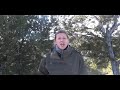Eco Jingle Bells