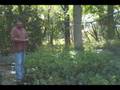 Improving Soils with Microbiology