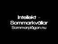 Intellekt - Sommarkvällar