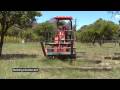 Mini loader - Schaffer Mini Loader demonstrating 4 in 1 rippers grab bucket trencher pallet forks