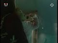 Bubble dolphin Bubble dolphin