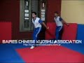 chinese kungfu