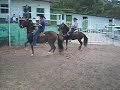 la elegida vs principe de jubiloso
