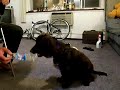 エクソンの憂鬱　Exon gets frustrated
