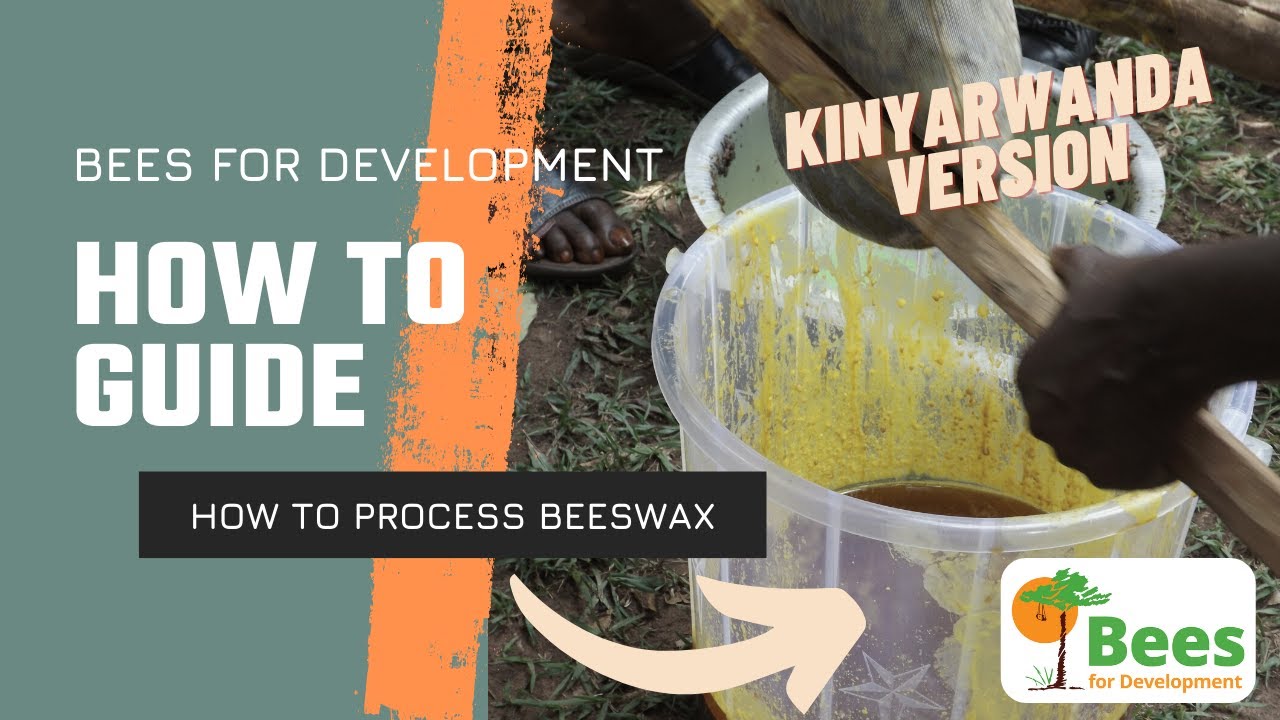 How to process beeswax (Kinyarwanda subtitles)