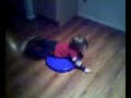 Liam Spinning Liam Spinning