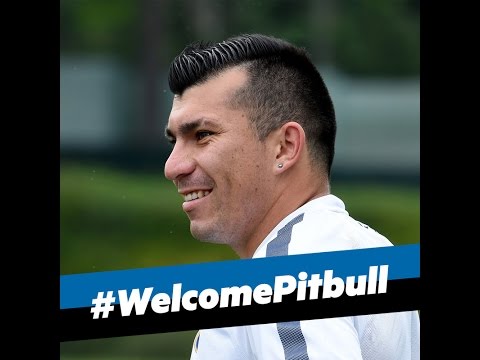 Live! Conferenza stampa Gary Medel #WelcomePitbull 25.8.2014 Live! Conferenza stampa Gary Medel #WelcomePitbull 25.8.2014