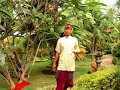 www.sawah-lovina.com