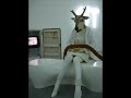 exposition temporaire au mus�e d'art contemporain du val de marne 
( jusqu'au 25 janvier 2009 )