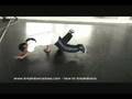 How to Breakdance: Basic Freeze