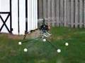 First Flight Test