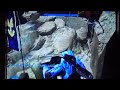 Halo 3 Mongoose