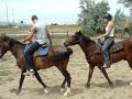 Lakota getting ponied with me on him to get him used to a rider. This is about 6 weeks after I picked him up.