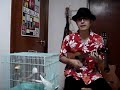 watasi anata no ukulele kirai????????????????